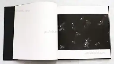 Sample page 7 for book "Fukase, Masahisa – Masahisa Fukase - Karasu (Ravens 深瀬昌久 鴉) " Sample page 7 for book "Fukase, Masahisa – Masahisa Fukase - Karasu (Ravens 深瀬昌久 鴉) "