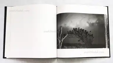 Sample page 4 for book "Fukase, Masahisa – Masahisa Fukase - Karasu (Ravens 深瀬昌久 鴉) " Sample page 4 for book "Fukase, Masahisa – Masahisa Fukase - Karasu (Ravens 深瀬昌久 鴉) "