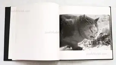 Sample page 2 for book "Fukase, Masahisa – Masahisa Fukase - Karasu (Ravens 深瀬昌久 鴉) " Sample page 2 for book "Fukase, Masahisa – Masahisa Fukase - Karasu (Ravens 深瀬昌久 鴉) "