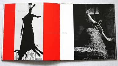 Sample page 4 for book  Lucien Clergue – Toros muertos