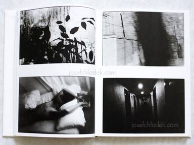 Sample page 3 for book  Sakiko Nomura – Nude/A Room/ Flowers