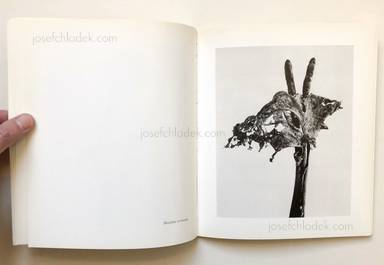 Sample page 8 for book  Joan Fontcuberta – Herbarium
