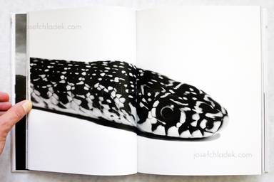 Sample page 4 for book  Aleix Plademunt – Almost there