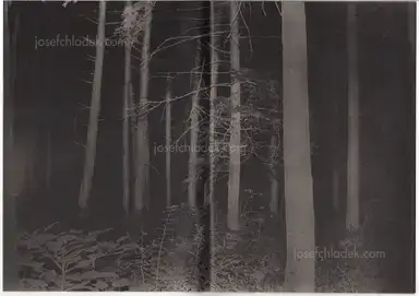 Sample page 10 for book "Yokota, Daisuke – Daisuke Yokota - Back Yard" Sample page 10 for book "Yokota, Daisuke – Daisuke Yokota - Back Yard"