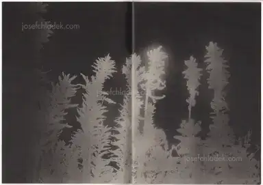 Sample page 9 for book "Yokota, Daisuke – Daisuke Yokota - Back Yard" Sample page 9 for book "Yokota, Daisuke – Daisuke Yokota - Back Yard"