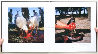 Sample page 11 for book  Alessandra Sanguinetti – On The Sixth Day