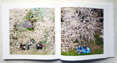 Sample page 8 for book  Taiji Matsue – Cell