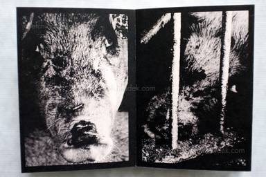 Sample page 5 for book  Nozomi Iijima – Scoffing Pig - Book