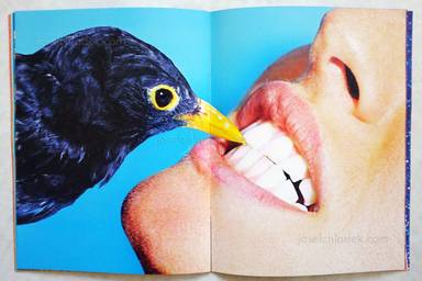 Sample page 5 for book  Maurizio Cattelan – Toilet Paper #8