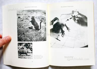 Sample page 9 for book  Joan / Formiguera Fontcuberta – Dr. Ameisenhaufens Fauna