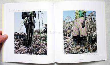 Sample page 7 for book  Jackie Nickerson – Contact Sheet 174 - Terrain