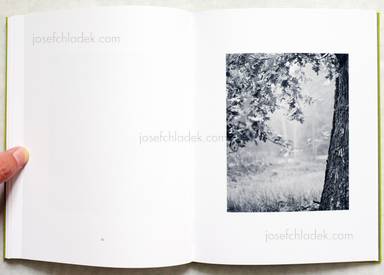 Sample page 12 for book  Michael Schmidt – Natur