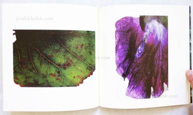 Sample page 5 for book  Ryo Ichii – The Veins