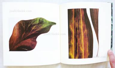 Sample page 6 for book  Ryo Ichii – The Veins