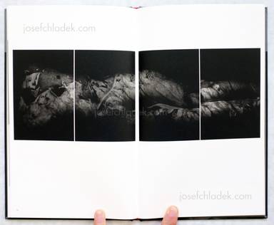 Sample page 7 for book  Yoko Mazuki – a priori innerplants