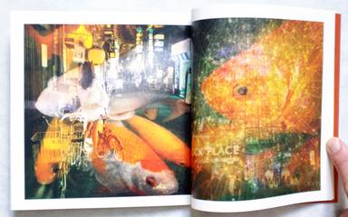 Sample page 3 for book  Michiko Makino – Tokyo Kingyo 東京金魚