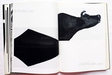 Sample page 10 for book  Otto Steinert – Subjektive Fotografie 2 - Ein Bildband moderner Fotografie