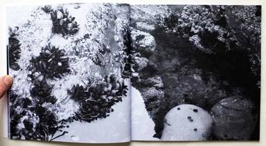 Sample page 2 for book  Pedro dos Reis – Sea Drawings