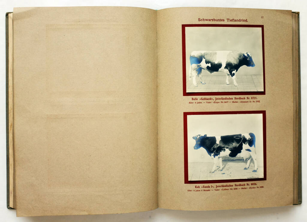 book социально психологическая диагностика группового субъекта 18000