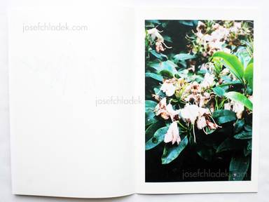 Sample page 1 for book  Ren Hang – May
