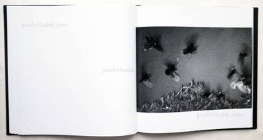 Sample page 14 for book  Masahisa Fukase – Ravens