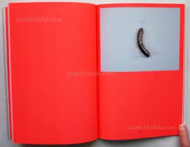 Sample page 4 for book "Renner, Volker – Volker Renner - f for food" Sample page 4 for book "Renner, Volker – Volker Renner - f for food"