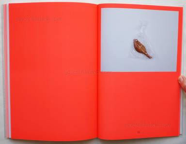 Sample page 11 for book  Volker Renner – f for food