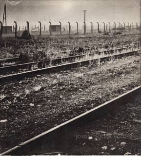  Adam & Smolen Kaczkowski - Auschwitz - Birkenau (Dust ja...