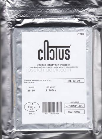  Cactus digitale project - CACTUS DIGITALE PROJECT (Plast...