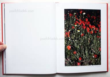 Sample page 8 for book  Jesús Monterde – Nemini Parco