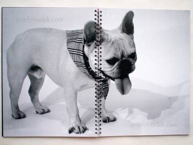 Sample page 9 for book  Sigrid Ehemann – Bruno Is a Celebrity
