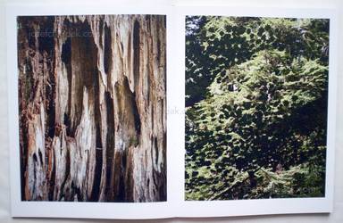 Sample page 6 for book  Vincent Buller – I arrived at Cape Disappointment