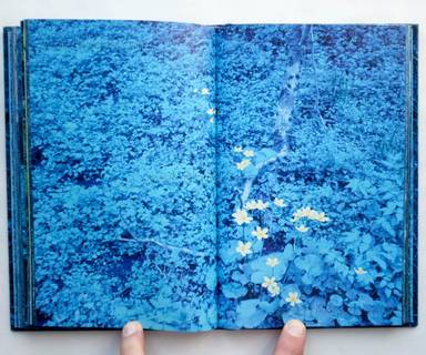 Sample page 10 for book  Morten Andersen – Blå Skog/Blue Forest