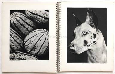 Sample page 12 for book  Arts et Métiers Graphiques – Photographie 1933-34