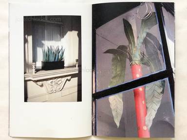 Sample page 5 for book  Uwe Bedenbecker – London Windows, Nature & One Tattoo