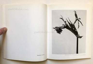 Sample page 2 for book  Joan Fontcuberta – Herbarium