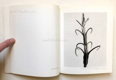 Sample page 3 for book  Joan Fontcuberta – Herbarium