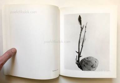 Sample page 6 for book  Joan Fontcuberta – Herbarium