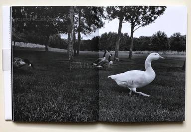Sample page 5 for book  Regina Anzenberger – goosewalk