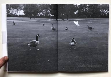 Sample page 15 for book  Regina Anzenberger – goosewalk