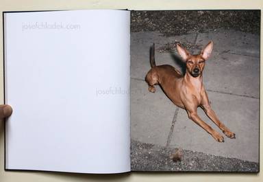 Sample page 1 for book Bastian Thiery – Humpelfuchs