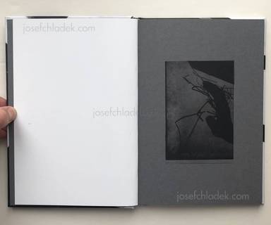 Sample page 1 for book Camilo Amaya – In/Signe