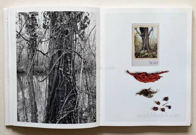 Sample page 7 for book  Regina Anzenberger – Shifting Roots