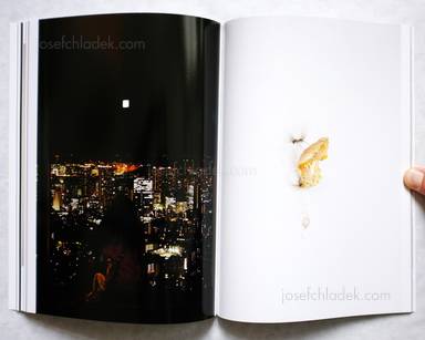 Sample page 8 for book  Munemasa Takahashi – SKYFISH