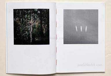 Sample page 6 for book Arnaud Brihay – Passager (second edition)