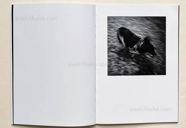 Sample page 7 for book Arnaud Brihay – Passager (second edition)