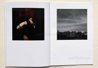 Sample page 8 for book Arnaud Brihay – Passager (second edition)