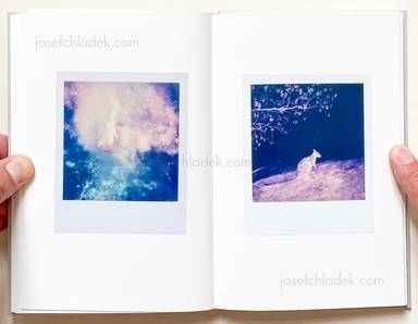 Sample page 9 for book Lin Zhipeng – 123 Polaroids