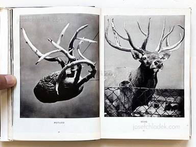 Sample page 11 for book Stefan Lorant – Chamberlain and The Beautiful Llama and 101 More Juxtapositions