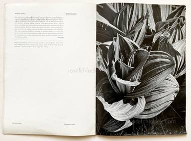 Sample page 11 for book Ladislav Sutnar – Fotografie vidi povrch. La photographie reflète l´aspect des choses.